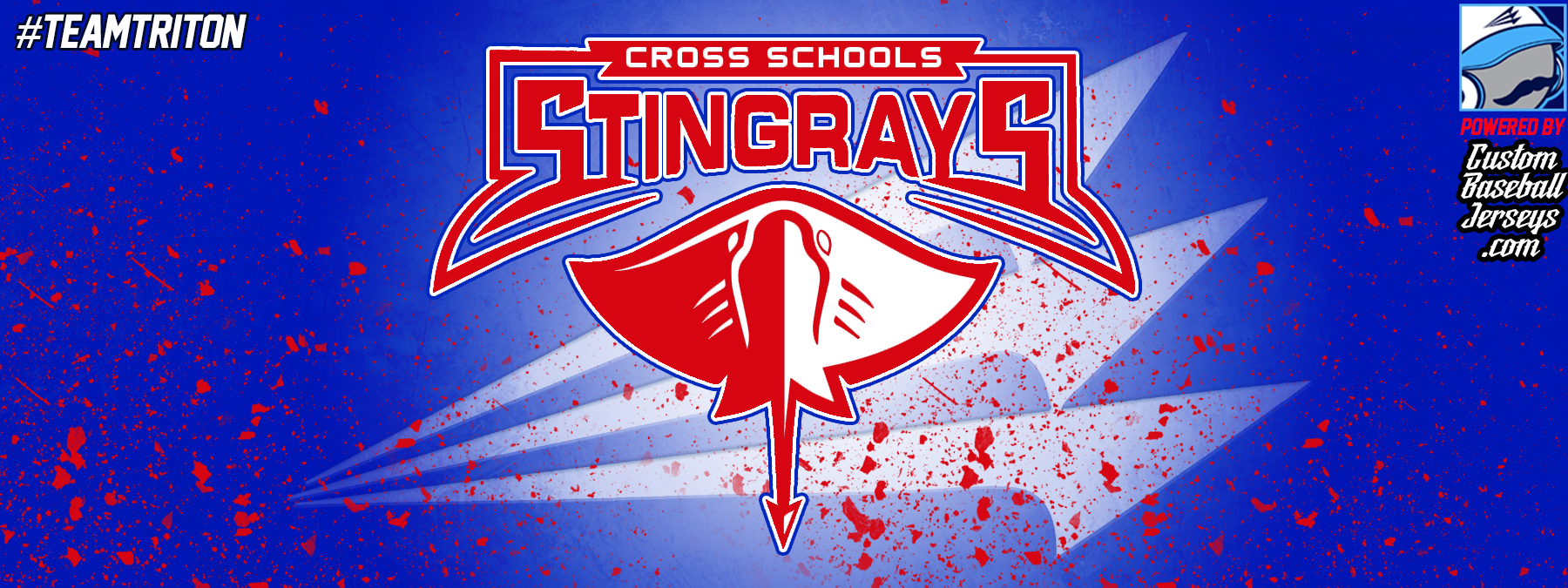 Download Cross Stingrays Custom Pinstripe Baseball Jerseys - Triton ...