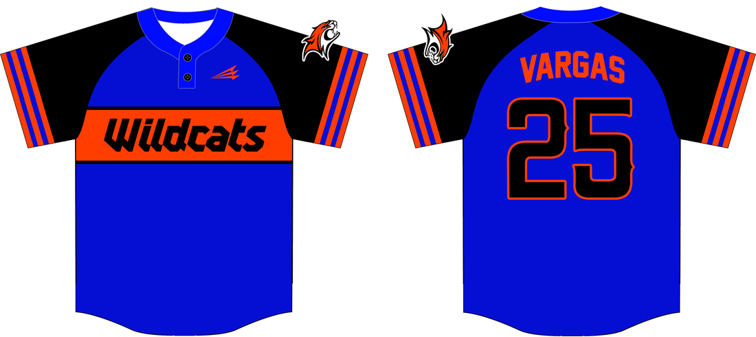 Download Wildcats (Vargas) Custom Throwback Baseball Jerseys ...